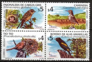Uruguay 2000 Birds Set of 4 MNH