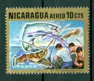 Nicaragua - Scott C696