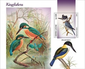 SIERRA LEONE - 2024 - Kingfishers - Perf Souv Sheet - Mint Never Hinged