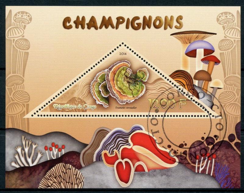 Congo 2014 CTO Mushrooms 1v S/S Champignons Fungi Nature Stamps