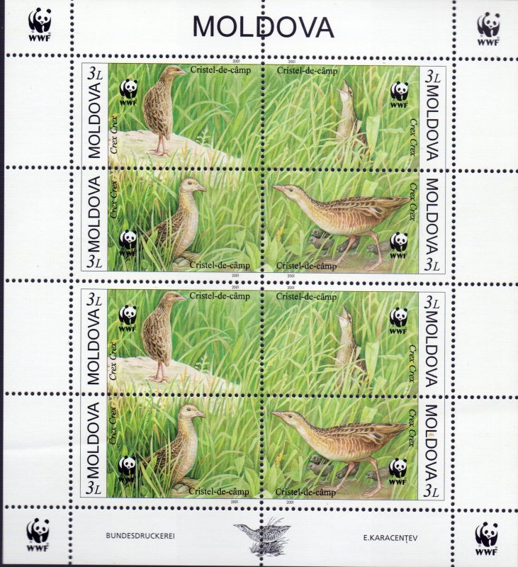 Moldova. 2001. Small sheet 379-82. Fauna bird. MNH.
