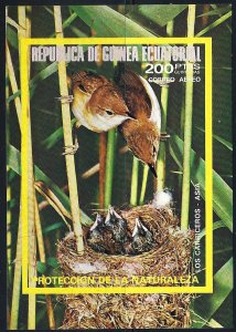 EQUATORIAL GUINEE MiBk242 SS MNH   BIRDS BIN $5.00