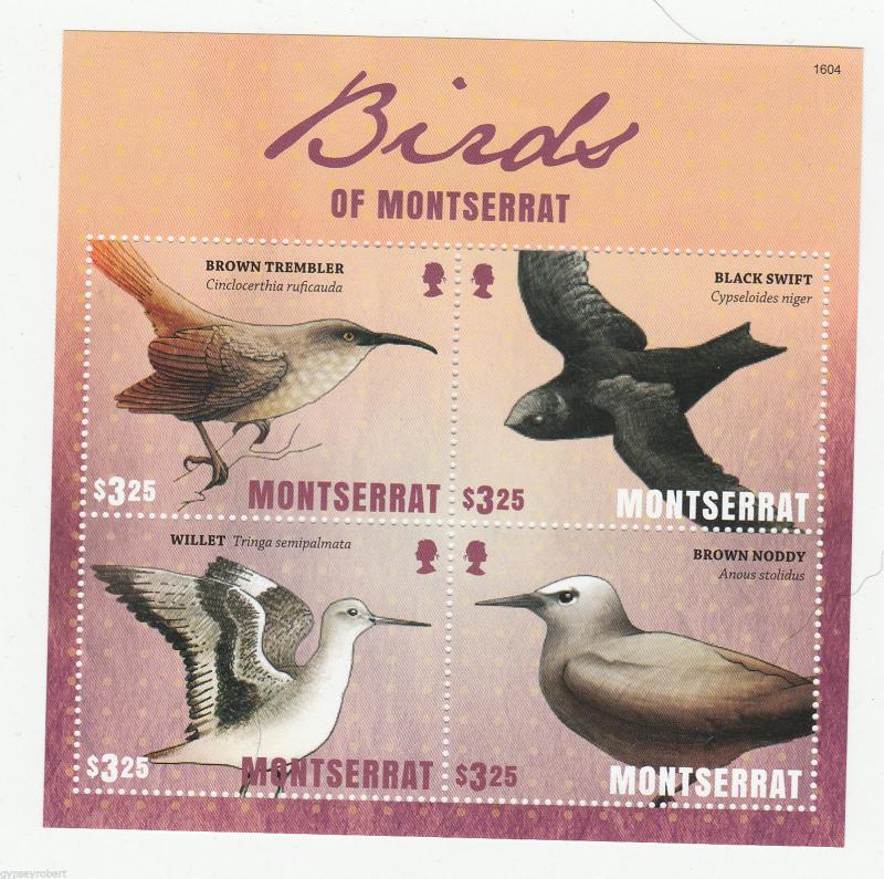 MONTSERRAT   Birds