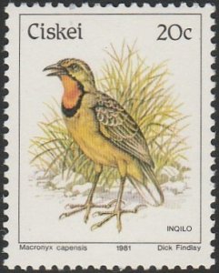 South Africa-Ciskei #21 1981 20c Orange-throated Longclaw MNH.