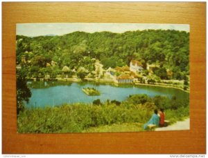 SRI LANKA CEYLON Fish Cock Rouster stamp on Real photo POSTCARD