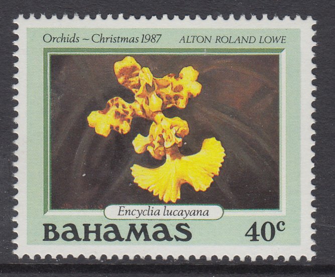 Bahamas 637 Orchid MNH VF