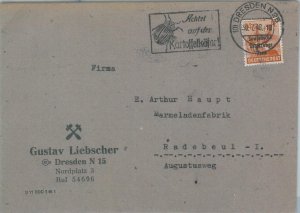 75625 - GERMANY - POSTAL HISTORY -  POSTMARK on cover -  INSECTS beetles 1948