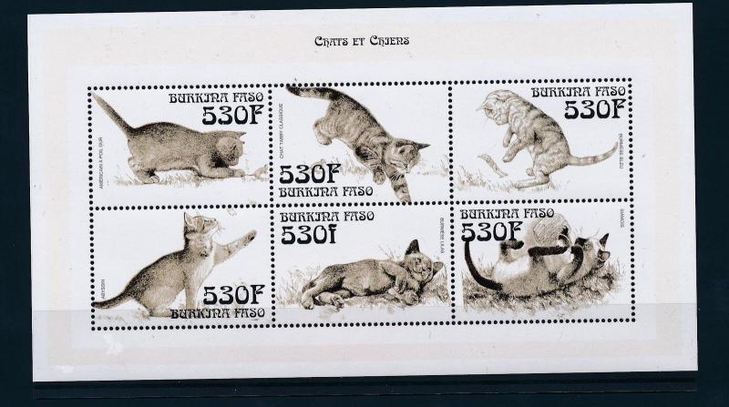 [30129] Burkina Faso 1999 Animals Cats MNH Sheet