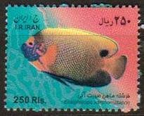 Iran MNH Scott #2986 Fish large size 250 Rial Free Shipping