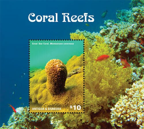 Antigua 2014 - Coral Reef Marine Life - Souvenir Stamp Sheet - Scott #3274 - MNH