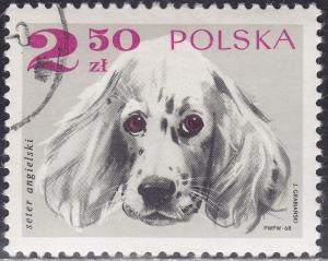 Poland 1640 English Setter 2.50zł 1969