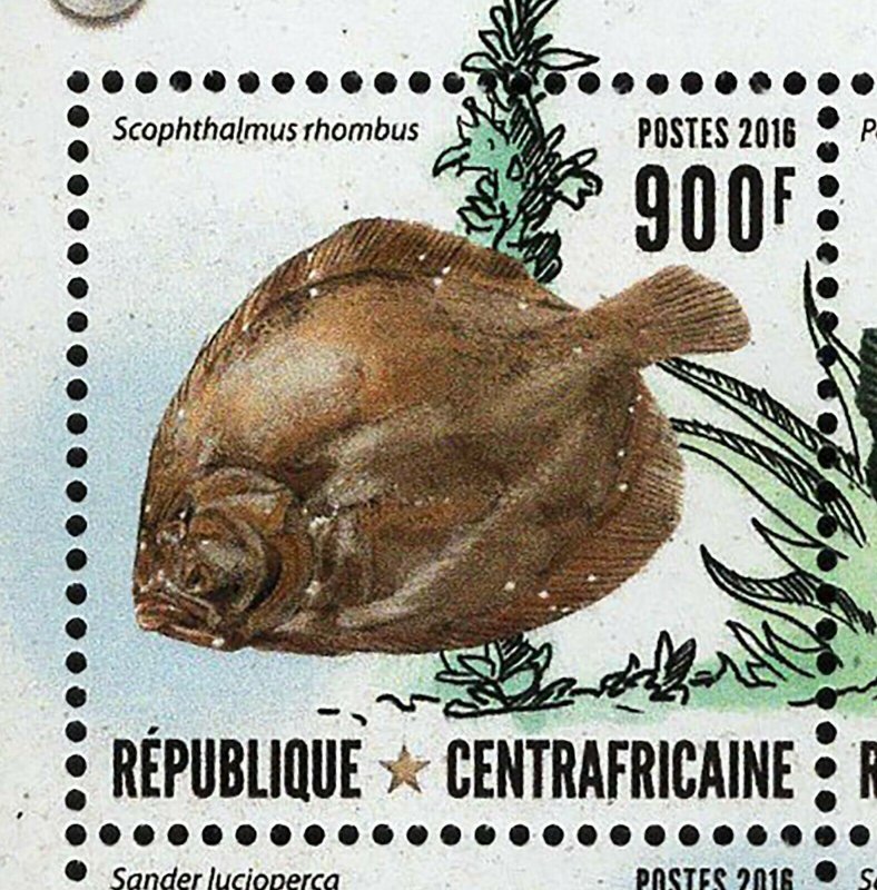 Fish Stamp Sander Lucioperca Scophthalmus Rhombus S/S MNH #6585-6588 