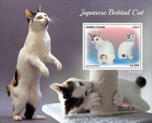 2024 05 - SIERRA LEONE - JAPANESE BOBTAIL CATS         1V  complet set    MNH **