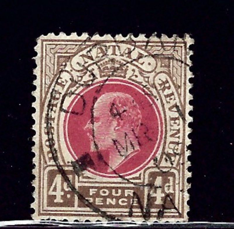 Natal 104 Used 1904 issue    (ap1390)