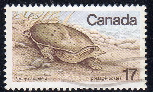 Canada 813 - Used-NH - Soft-shelled Turtle