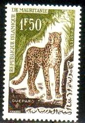 Wildcat, Cheetah, Mauritania stamp SC#136 MNH