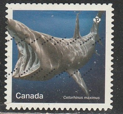 Canada   3107   (O)    2018