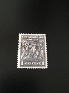 Newfoundland sc 184 uhr