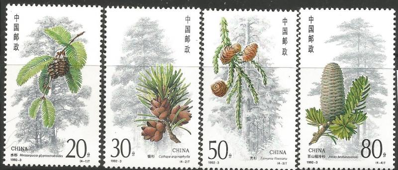 CHINA PRC 2382-2385, MNH, C/SET OF 4 STAMPS, CONIFERS