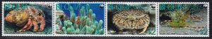 Bequia / Grenadines of St Vincent, Fauna, Marine Life MNH / 2010