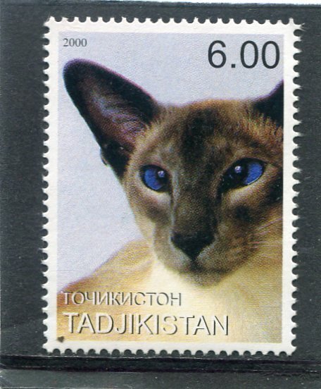 Tajikistan 2000 DOMESTIC CAT Single Perforated Mint (NH)