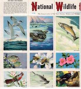 U.S. National Wildlife Federation Sheet of 36 Colorful Wildlife Card Labels VF