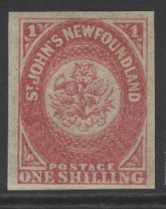 NEWFOUNDLAND SG23 1862 1/- ROSE-LAKE MTD MINT