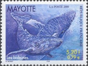 Mayotte Scott # 134 MNH  
