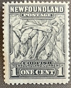 Newfoundland # 253 MNH