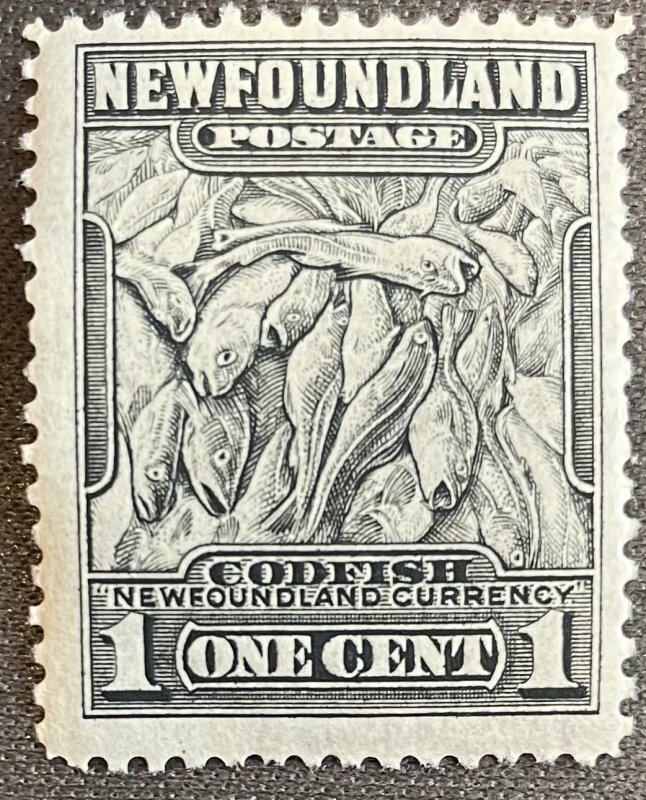 Newfoundland # 253 MNH