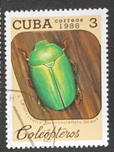 CUBA Sc# 3037 INSECTS bugs beetles 3c  1988  used cto