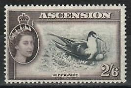 Ascension Stamp 72  - Sooty tern