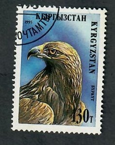 Kyrgyzstan #55 Raptor used single