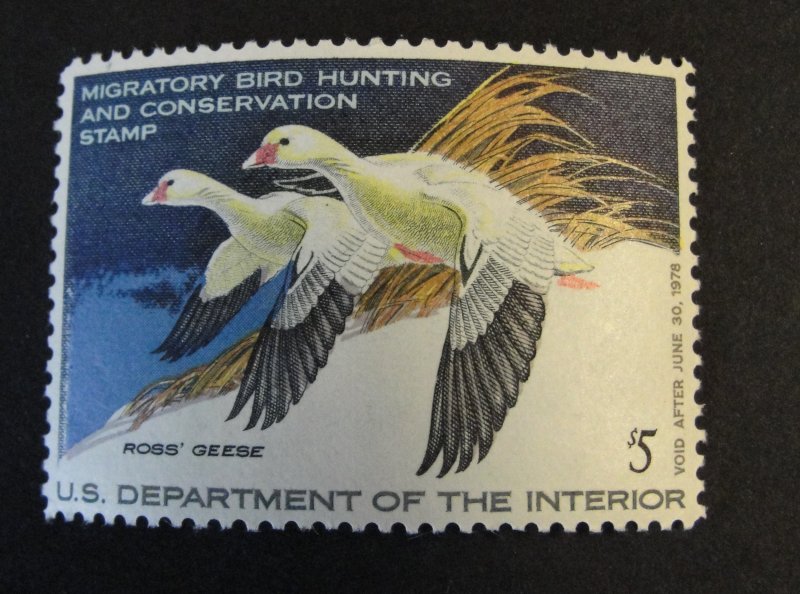 US Sc. # R44 - $5.00 Hunting Stamp MNH w/OG