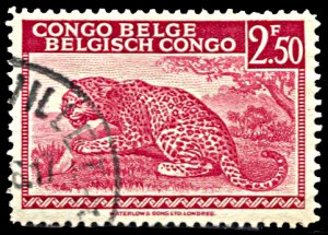 Belgian Congo 200, used, Leopard