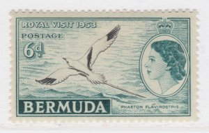 1953 BERMUDA 6d MH* Stamp A27P51F25706-