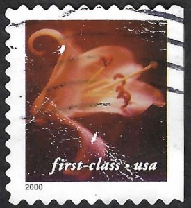 United States #3457 First Class (34¢) Flower (2000). Surface damage Used.