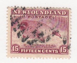 Newfoundland - 1932 - SC 195 - Used