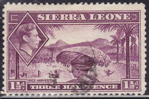 Sierra Leone 175A USED 1941 Rice Harvesting