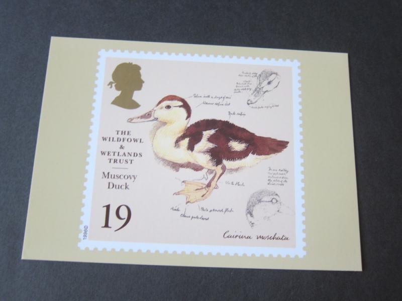 Great Britain 1996 Sc 1653-7 PC Bird set MNH