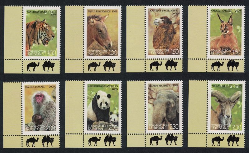 Tajikistan Tiger Panda Camel Caracal Elephant Fauna 8v Corners 2009 MNH