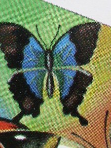 ​DHUFAR -COLORFUL BEAUTIFUL LOVELY BUTTERFLIES-IMPERF :MNH S/S SHEET-VERY FINE