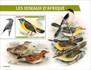 Central Africa - 2023 African Birds, Robin - Stamp Souvenir Sheet - CA230310b