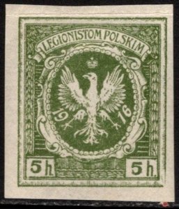 1916 Poland Legion in Austria WW 5 Heller Legionistom Polskim Imperforate MNH