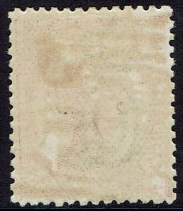 QUEENSLAND 1895 QV 2/1/2D - 2 NUMERALS