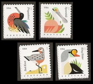 US 4991-4994 Coastal Birds postcard rate set 4 (from sheet) MNH 2015