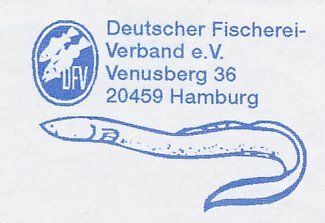 Meter cut Germany 2007 Fish - Eel