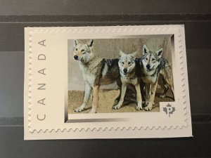 Canada Post Picture Postage Mint NH *Wolf Familly* *P* denomination