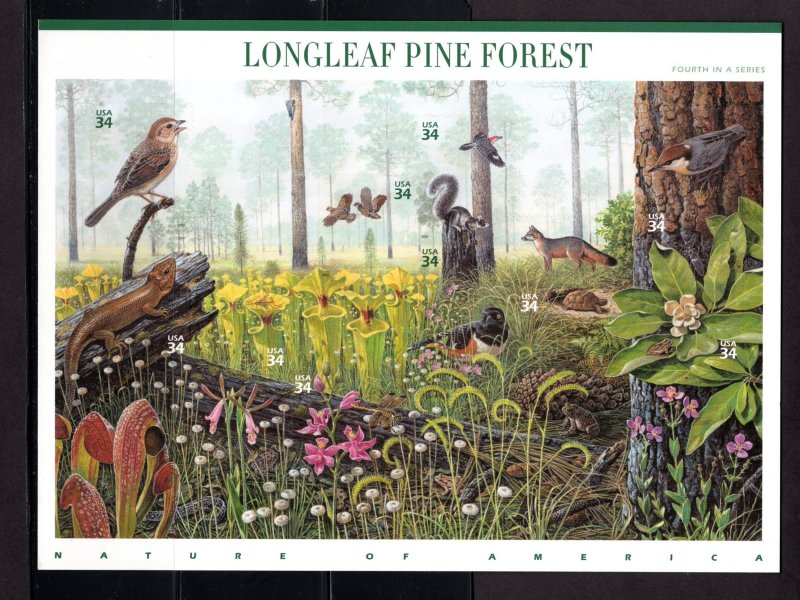 US 3611,  Pane of 10, XF,  MNH,  Longleaf Pine Forest,  CV $19.00 ...... 6786112