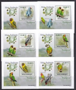 Mozambique 2010 Birds Parrots 6 S/Sheets Deluxe Edition MNH